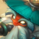 Bard Bard