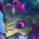 Gnar Gnar